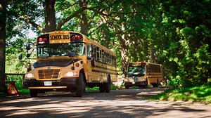 Hassle Free Pick Up & Drop Off Across GTA | Green Acres Summer Camp