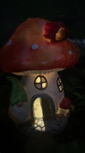 Garden Gnome sweet gnome 🍄 #garden #gnome #fae #gardendecor #gnomedecor
