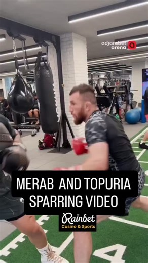 SPARRWARS on Instagram: "Merab Dvalishvili and Ilia Topuria sparring together in Spain. #ufc #mma #sparring #sparwarrs"