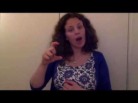 BSL Food and Drink Story-BSL level 1 & 2 [subtitles available]