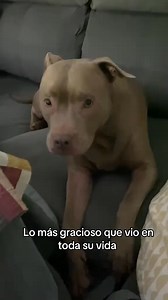 En sus 20 días de vida | JVE
