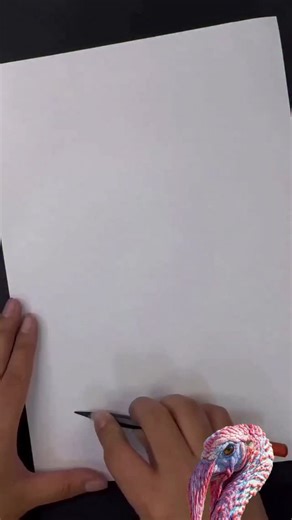 pencil on Instagram: "How to make a fish drawing trick"