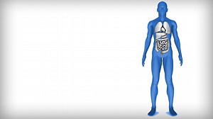 14 reactions | HCN poisoning can have various symptoms, from coughing...