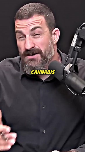 Understanding the Risks of Heavy Cannabis Use - Huberman on Weed