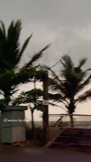 නලුවො වැඩ කරන බස්__Sanjeewa aiya❤️🫶 එයා ඈතින් එනවා දකිද්දි අමුතු feeling එකක් එන්නෙ මට විතරද __🥹💚 யாழ் 𝗚𝗥𝗘𝗘𝗡 𝗛𝗘𝗔𝗥𝗧...💚✈ J E T L I N E R 07 💚 •• Samarasinghe Transport Service sp NC 7288 #JetLiner #trendingvideo #pasindupramuditha #SamarasingheTransportService #STS #tangalle87jaffna #vairalvideo #foryoupage #matarabusking #Dounsouth #tangalle87jaffnatangalle87jaffna #fyp