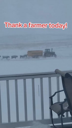 Thanks farmer today. They are out there so you can eat. They are out there so you can wear clothes. Your meat, vegetables, fruits, don't just come from a grocery store. It comes from hard working men and women who brave all conditions. #thankafarmer #nebraska #Blizzard #snowstorm #farmer #rancher #farm #johndeere #Snowday #farmfamily #angus #snow