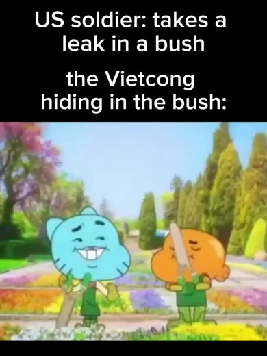 Viet Cong Memes: A Historical Perspective