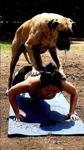 Pets,dog,yoga,yogadog,doglife,animals,doglove,cutepuppy