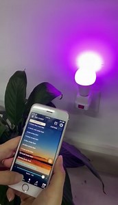 Watch color changing light bulb on Amazon Live