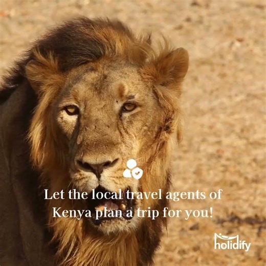 Kenya Tour Packages