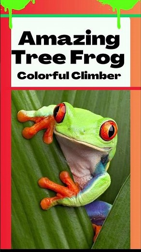 🌿 Tree Frog Facts | Amazing Amphibian 🐸 #Shorts #facts #animals #yt #ytshorts