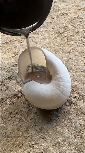 Metal pouring into a shell creates something you won't expect #shorts #satisfying #restoration