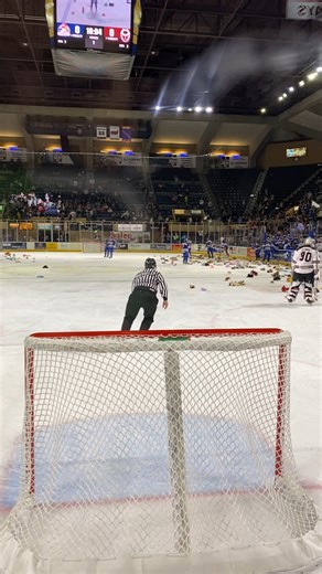 A bear-y big night is almost here! 🧸 Teddy Bear Toss, December 20 at 7:05 P.M. Sponsored by Gillespie Agency, LLC: Allstate Insurance with K92 - WXLK 92.3FM Tickets: https://www.railyarddawgs.com/single-game-ticket | Rail Yard Dawgs