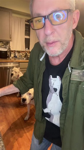 Do you wanna see more of this join us in our live stream every night we have treat session so appreciate the ones that show up and come in and hang out and then if you knew come on in just say you’re new we love new people so thanks for just watching my video. If you wouldn’t mind, maybe follow share comment and like thank you. #thedogodaddy #dogoargentino #dogo #dogo