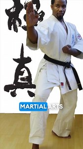 5 useless martial arts that you should never practice. #mma #ufc #boxing #aikido | Amin men's physique