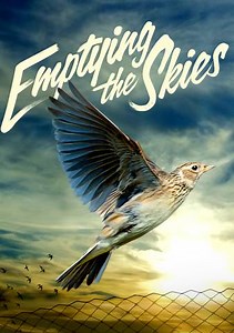 Emptying the Skies
