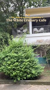 Sudden brunch plans at The White Canary Cafe can never go wrong Here’s my top 5 picks from their restaurant: 1) Creamy Shrimp Pasta 2) Fried chicken with waffle 3) Harley Quino French Toast 4) Fried chicken eggs benedict 5)Blueberry buttermilk pancakes Comment below your favourite brunch spot in town ! . . . . . . . #foodgasm #frenchtoast #pancakes #pancakes🥞 #brunch #brunchtime #brunchideas #brunchgoals | Too Halal For Food