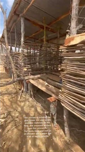 We Are Using local Materials#goat