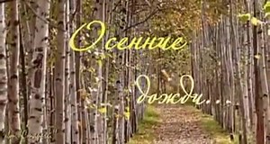 Осенние дожди... Райбург Ян