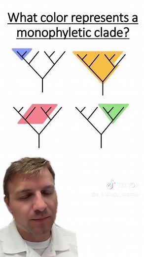 What is a Clade? Understanding Monophyletic Groups
