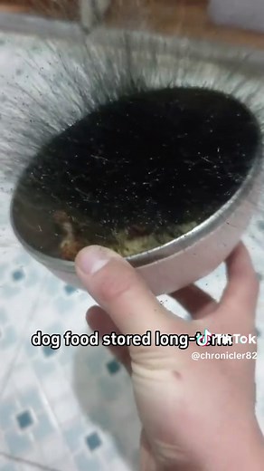 Understanding Toxic Mold: What You Need to Know