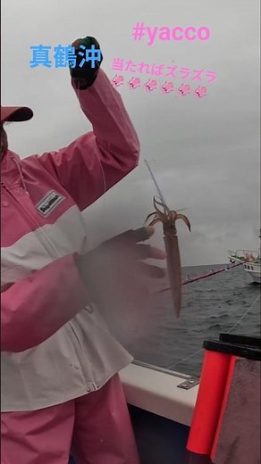 Fishing off the coast of Manazuru in the rain—once they start biting, it’s a multiple-hookup fren...