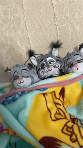 Tucking in my sleepy Pawberts 🩷🩷 #fyp #pawbertlynxley #zootopia #foryoupage #plush