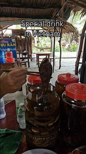 Special jungle drink in the Mekong Delta, Vietnam #cobra #scorpion #jungle #animals