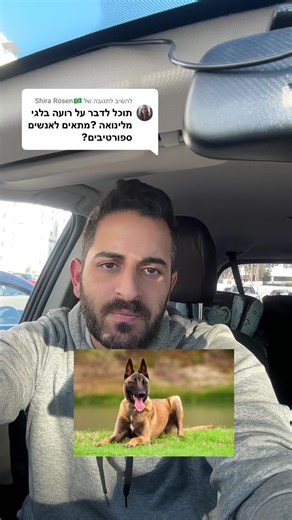 משיב/ה ל-@Shira Rosen🇧🇷 האם רועה בלגי מתאים לכל אחד? ————— אם אתם רוצים לאלף את הכלב שלכם או להיות מאלפי כלבים או כלבנים טיפוליים בעצמכם שלחו לנו ווצאפ - 0547-595731 שם אנחנו הכי זמינים! #כלבים #האילוףשלבן #בןאביטל #אילוףכלבים #מאלףכלבים