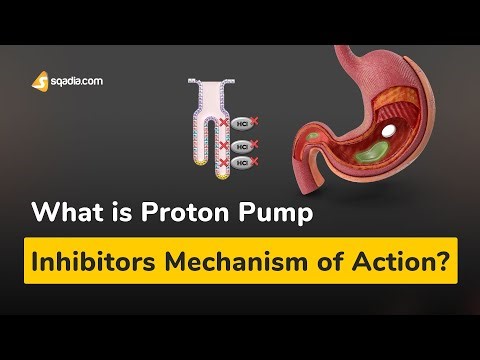 What is Proton Pump Inhibitors Mechanism of Action? | Pharmacology