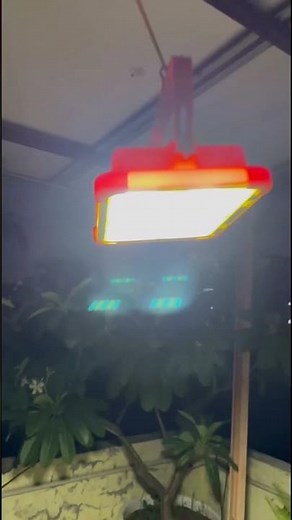Solar Flood Light Night Demo — Zero Electricity Bill, Full Brightness