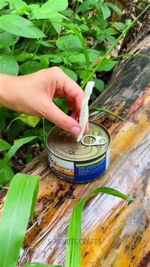 New camping hacks to make your outdoor experience better | Camping Hacks