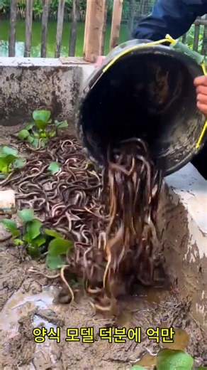 Today I was working in the field. But unexpectedly, at the entrance of a hole, there were a lot o...