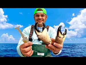 How To Measure Stone Crab (2026 Regulations)