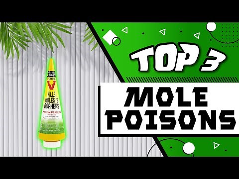 Best Mole Poison