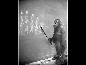 Evolution vs God - the "best" of Gail Kennedy