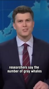 Best of Weekend Update | SNL fansss