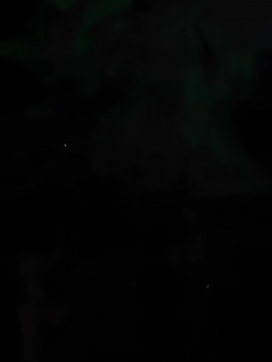 Tsaindorcus Vaision: El Verdadero Señor Dragón de Platino