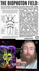 Biophotons are the key to immortality and unlocking your DNA 🧬 The coherent biophoton field forms a hologram throughout the body, telling each DNA molecule where it fits in the overall blueprint, and governing cell differentiation and specialization. With the creation of each biophoton there is also a torsion wave. Scientists have concluded that torsion energy is the subtle energy that is our "life force," and the torsion field is the missing ingredient to understanding the science of conscious