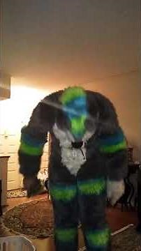 Showing off my new full-body plantigrade murrsuit!