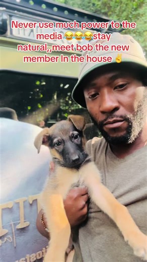 Tito’s Tanzania Safaris on TikTok