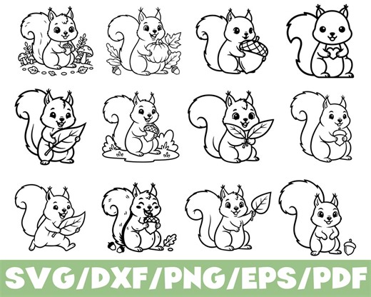 Squirrel SVG Bundle: Autumn Acorn Cartoon Animal Files (digital Download) - Etsy