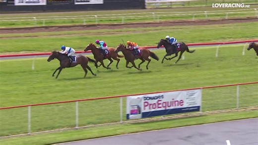 Exceptional colt Savaglee delivered a standout three-year-old campaign for trainer Pam Gerard and jockey Sam Spratt, claiming five victories, four at black-type level 🤩 Sporting The Oaks Stud’s iconic colours, Savaglee opened with a gritty win in the Gr.2 Hawke’s Bay Guineas, edging out his rivals in a thrilling finish. He then backed it up with a commanding performance in the Gr.2 James & Annie Sarten Memorial. The son of Savabeel truly announced himself on the big stage, storming to victory i