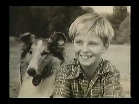 Salute to Lassie--June Lockhart, Jon Provost, Tommy Rettig, 1994 TV