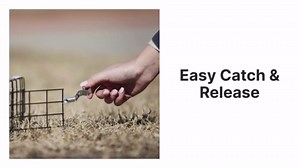 Rugged Ranch SQRTO Squirrelinator Live Animal 2 Door Metal Cage Trap