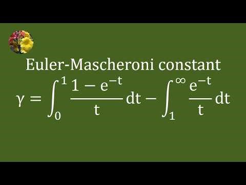 Evaluating an Integral Representation of the Euler–Mascheroni Constant via the Exponential Integral