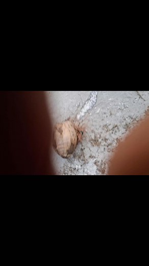 Danny Johnson on Reels