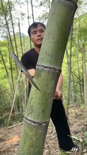 Extreme Axe Tool Test 🔥 | Satisfying Wood Cutting Power #tools #powertools #toolreview RT784556