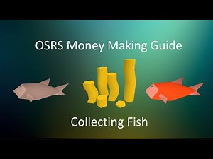 OSRS - Money Making Guide - Fish