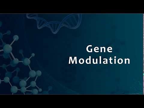 Gene Modulation: Creating Knockdowns, Overexpressions, and Reporters